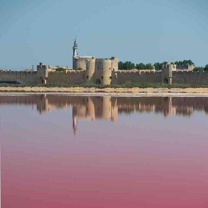 Maison Chaleureuse A 5 Mins Des Remparts Aigues-Mortes Exterior photo